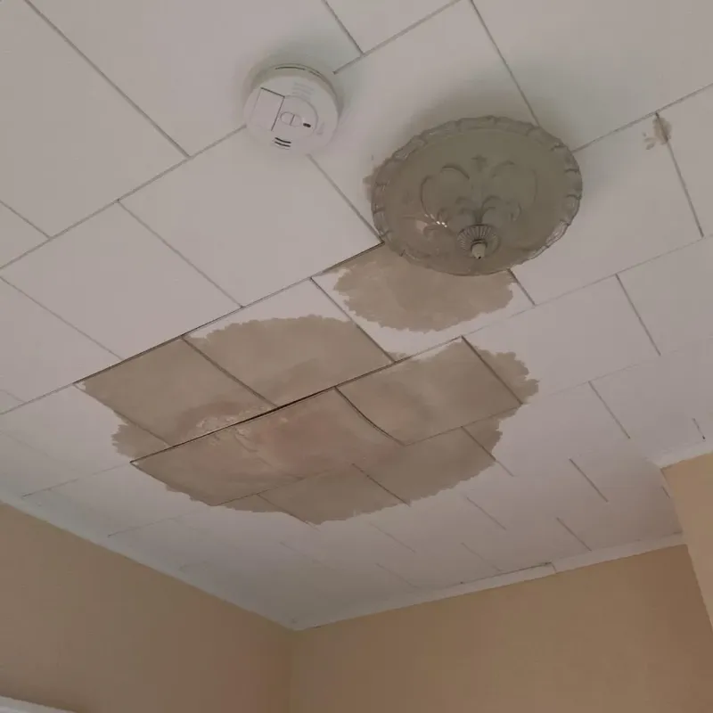 Ceiling Water Damage Repair in Abilene, KS