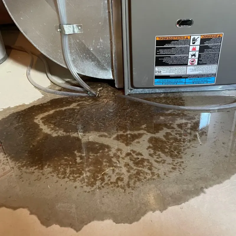 Pipe Burst and Leak Restoration in Abilene, KS