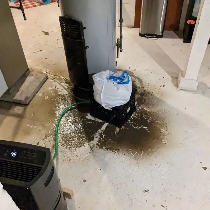 Sewage Backup Cleanup Service in Abilene, KS